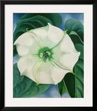 Jimson Weed  1932