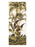 Antique Palm  no 10