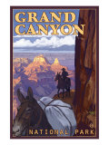 Grand Canyon National Park  Arizona  Mule Train Scene