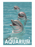 Visit the Aquarium  Dolphins Scene