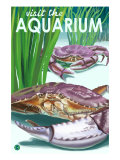 Visit the Aquarium  Dungeness Crab Scene