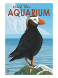 Visit the Aquarium  Tufted Puffin Scene