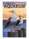 Visit the Aquarium  Sea Gulls Scene