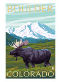 Boulder  Colorado  Moose and Mountain