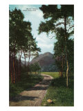 Rocky Mountain National Park  Colorado  View of Mount Chapin  Estes Park