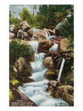 Rocky Mountain National Park  Colorado  View of Horseshoe Falls in Estes Park