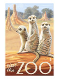 Visit the Zoo  Meerkats Scene