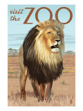 Visit the Zoo  Lion Scene