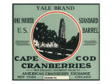 Cape Cod  Massachusetts  Yale Brand Cranberry Label