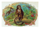Monkey Brand Cigar Box Label