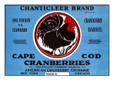 Cape Cod  Massachusetts  Chanticleer Brand Cranberry Label