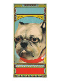 Bulldog Tobacco Label