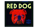 Villa Park  California  Red Dog Brand Citrus Label