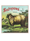 Southdown Brand Tobacco Label