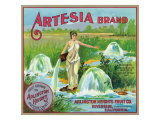 Riverside  California  Artesia Brand Citrus Label