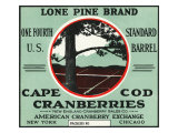 Cape Cod  Massachusetts  Lone Pine Brand Cranberry Label