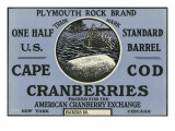 Cape Cod  Massachusetts  Plymouth Rock Brand Cranberry Label