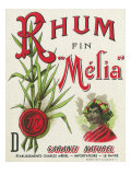 Rhum fin Melia Garanti Naturel Brand Rum Label