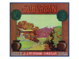 Lindsay  California  Suburban Brand Citrus Label
