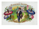 Morning Glory Brand Cigar Box Label