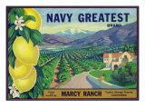 Tustin  California  Navy Greatest Brand Citrus Label