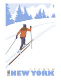 Cross Country Skier  Ithaca  New York