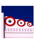 Blue and White  Miami
