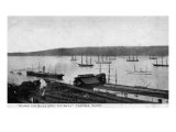 Tacoma  Washington  Where the Rails Meet the Sails