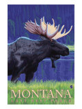 Montana  Last Best Place  Moose at Night