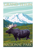 Grand Teton National Park  Wyoming  Moose and Mountains