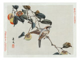 Bird Perched on a Branch from a Fruit Tree  Japanese Wood-Cut Print