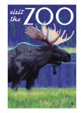 Visit the Zoo  Moose in the Moonlight
