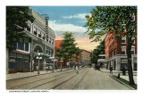 Binghamton  New York  Northern View down Chenango Street