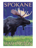 Spokane  Washington  Moose at Night