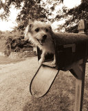You've Got Mail