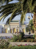 King's Royal Palace Viewed through Palm Tree  Fes  Morocco