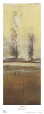 Sausalito II