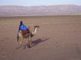 Man in Traditional Dress Riding Camel  Morocco