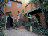 Garden Courtyard in Hotel Palais Salaam  Morocco
