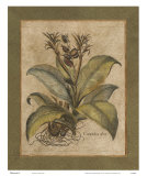 Valencia I