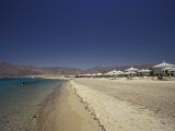 Beach Near the Coral Hilton on the Red Sea  Egypt
