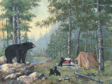 Bears' Campsite