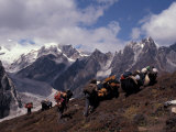 Yak Drivers Above the Kangshung  Tibet