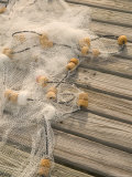 Fishing Nets on Town Pier  Loyalist Cays  Abacos  Bahamas