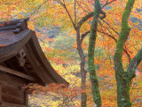 Kibune Shrine  Kyoto  Japan