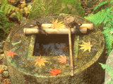 Spring for Tea Ceremony  Ryanji Temple  Kyoto  Japan