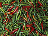 Red and Green Peppers for Many Thai Dishes  Thailand