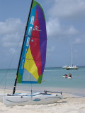 Hobie Sailboat on Palm Beach  Aruba  Caribbean