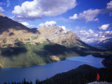 Hiker Overlooking Peyto Lake  Banff National Park  Alberta  Canada
