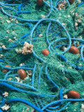 Fishing Nets in Grand Bourg Harbor  Marie-Galante Island  Guadaloupe  Caribbean